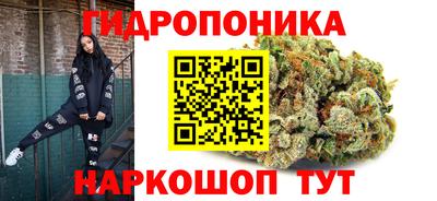 сатива Дубна