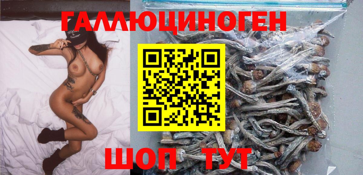 Псилоцибиновые грибы ЛСД Лесозаводск
