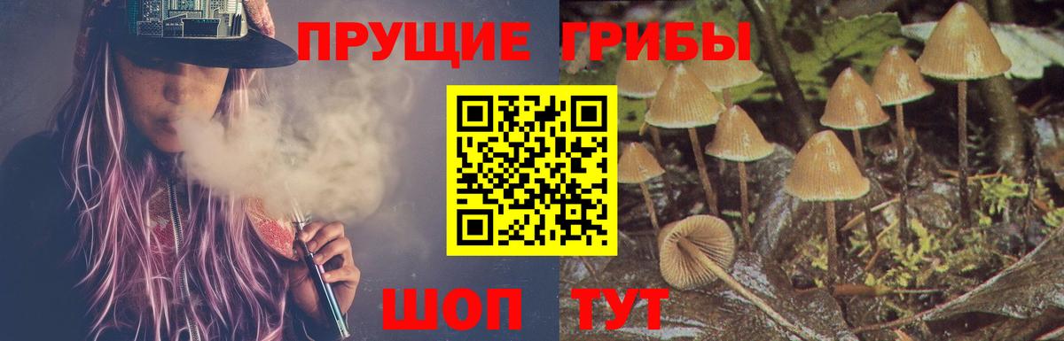 Псилоцибиновые грибы Psilocybine cubensis  сколько стоит  Вход с VPN  Лесозаводск  Галлюциногенные грибы ЛСД 